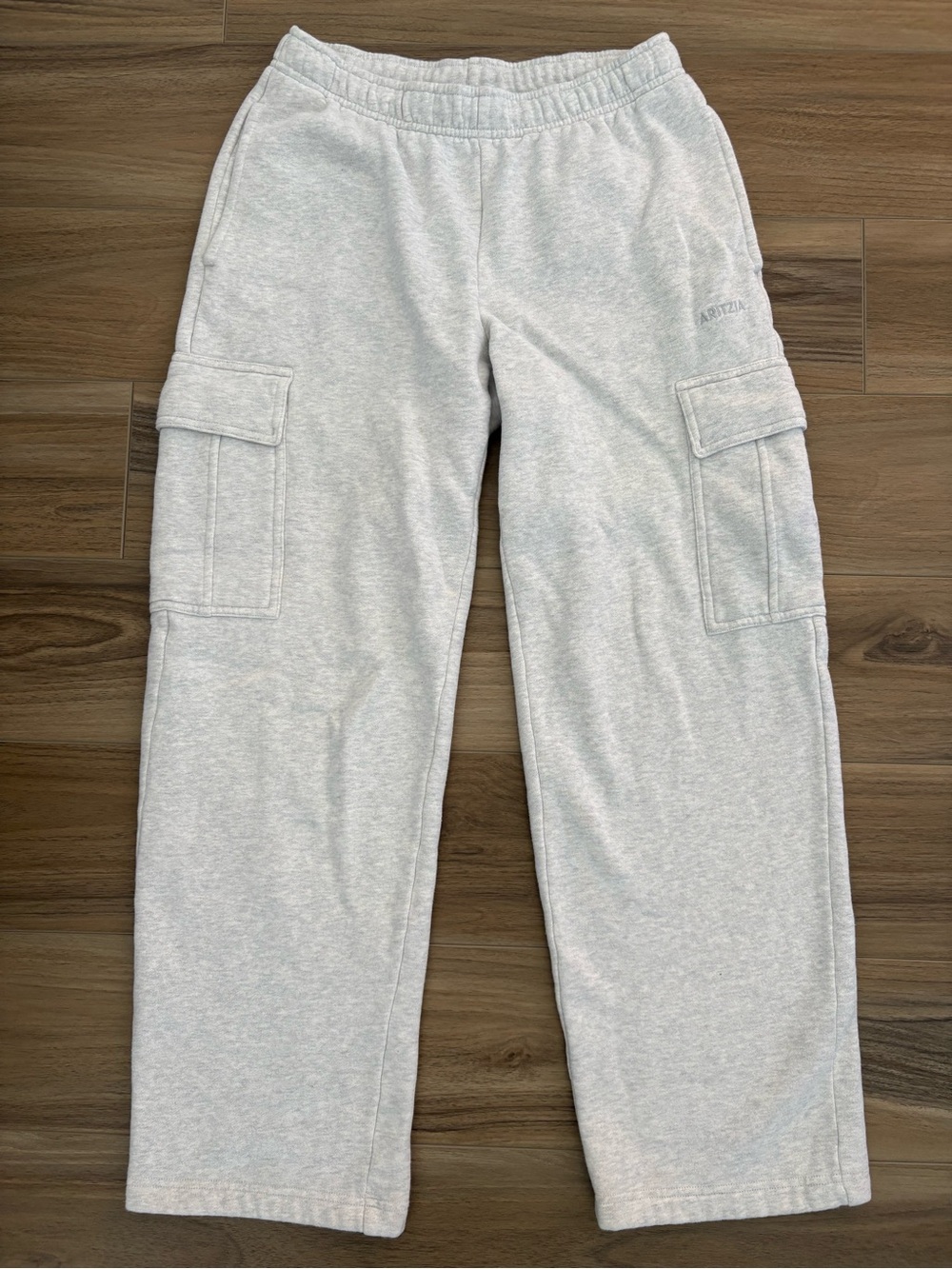 Aritzia Cozy Sweatfleece Mega Cargo Sweatpants
